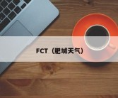 FCT（肥城天气）