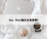 bsc（bscl是什么意思呢）