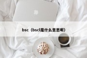 bsc（bscl是什么意思呢）