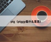 pig（piggy是什么意思）