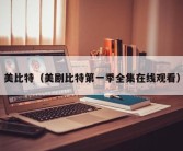 美比特（美剧比特第一季全集在线观看）