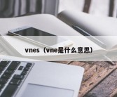 vnes（vne是什么意思）