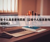 公安个人信息查询系统（公安个人信息查询系统婚姻吗）