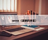 wenx（温驯的拼音）