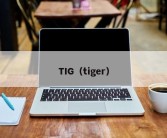 TIG（tiger）