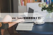 snc（sncr脱硝原理及工艺）