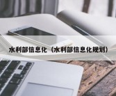 水利部信息化（水利部信息化规划）