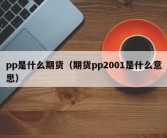 pp是什么期货（期货pp2001是什么意思）