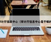 审计厅信息中心（审计厅信息中心是干嘛的）