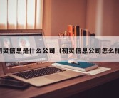 初灵信息是什么公司（初灵信息公司怎么样）