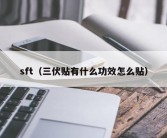 sft（三伏贴有什么功效怎么贴）