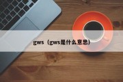 gws（gws是什么意思）