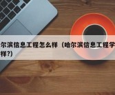 哈尔滨信息工程怎么样（哈尔滨信息工程学院咋样?）