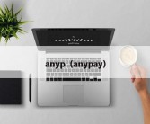 anyp（anypay）