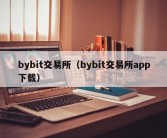 bybit交易所（bybit交易所app下载）