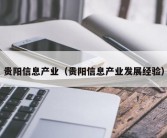 贵阳信息产业（贵阳信息产业发展经验）