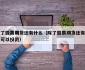 除了股票期货还有什么（除了股票期货还有什么可以投资）