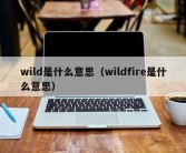 wild是什么意思（wildfire是什么意思）