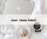 mass（mass index）