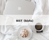 BIST（bistu）