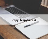 capy（capybaras）