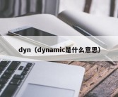 dyn（dynamic是什么意思）