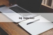 inj（injuries）