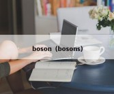 boson（bosons）