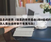 信息的世界（信息的世界是由1和0组成的,但人类社会并非只有黑与白）