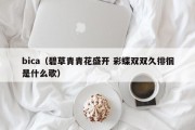 bica（碧草青青花盛开 彩蝶双双久徘徊是什么歌）