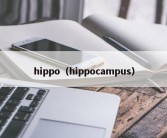 hippo（hippocampus）