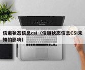 信道状态信息csi（信道状态信息CSI未知的影响）