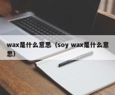 wax是什么意思（soy wax是什么意思）