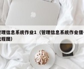 管理信息系统作业1（管理信息系统作业借书流程图）