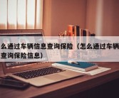 怎么通过车辆信息查询保险（怎么通过车辆信息查询保险信息）