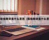 空股指期货是什么意思（股指期货是什么意思啊）