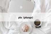 plu（plunge）