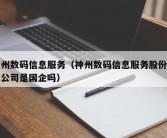 神州数码信息服务（神州数码信息服务股份有限公司是国企吗）