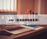 xmr（夏沫染顾铭修免费）