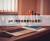 jnt（鸡你太美是什么意思）