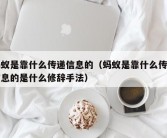 蚂蚁是靠什么传递信息的（蚂蚁是靠什么传递信息的是什么修辞手法）