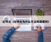 比特元（比特元为什么不上大交易所）