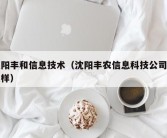 沈阳丰和信息技术（沈阳丰农信息科技公司怎么样）